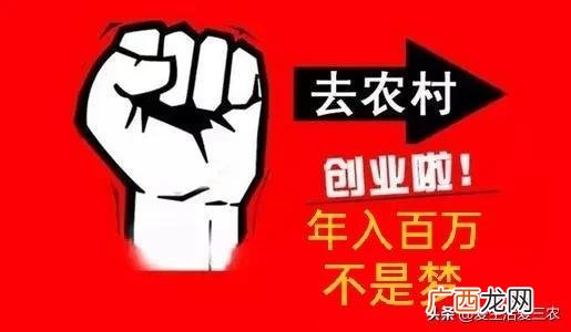 开洗衣液厂投资多少钱 洗洁精洗衣液生产赚钱吗