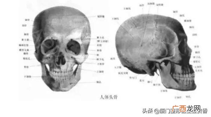 那骨相好的男性有哪些 骨相好的人有哪些特点