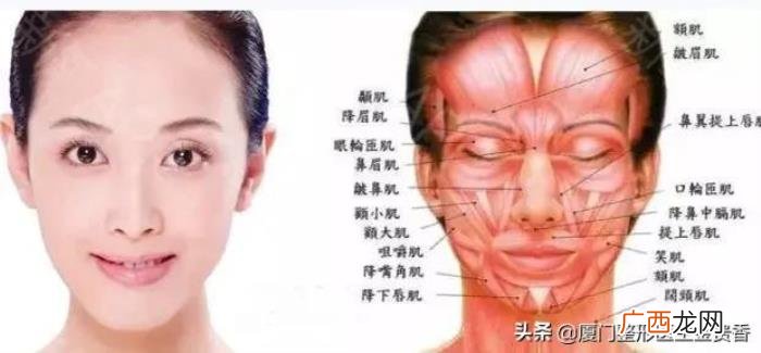 那骨相好的男性有哪些 骨相好的人有哪些特点