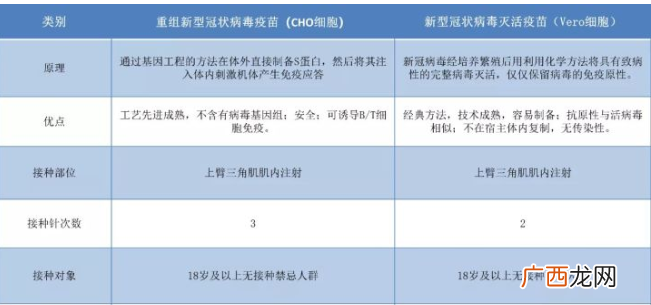 新冠疫苗打三针和两针的区别新冠疫苗打在哪个胳膊上
