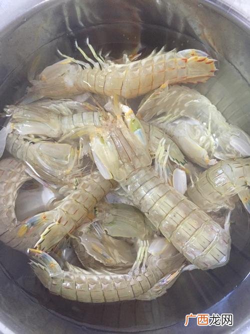 冬天虾爬子不好养 虾爬子能否养殖