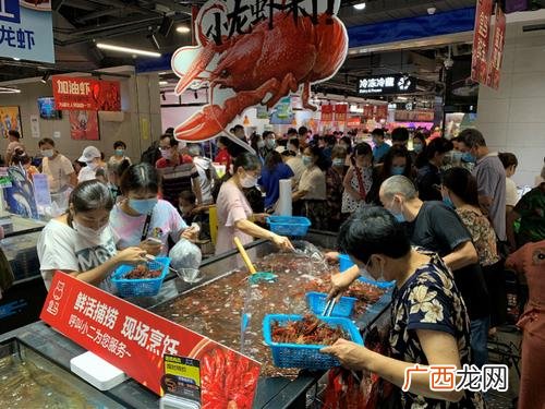 鳄鱼养殖场 养殖场的鳄鱼什么品种