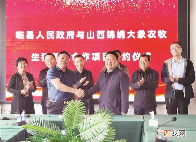 合作养猪哪个公司好,养猪需要开公司吗