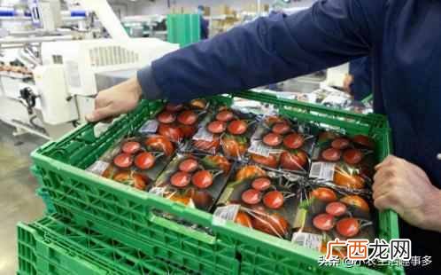 这几种工厂前景最好 办什么工厂赚钱吗