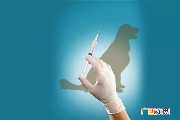 狂犬病发病症状狂犬病发病还有救吗