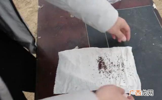夏季种植哪些蔬菜 八月份适合种植什么农作物