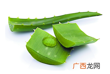 芦荟面膜多久做一次最好？芦荟敷脸不能过夜