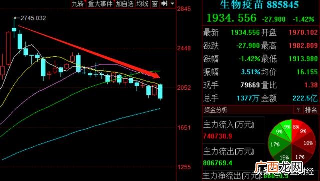 各板块龙头股票一览表2021 2021年龙头股有哪些股票