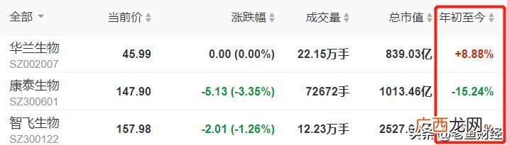 各板块龙头股票一览表2021 2021年龙头股有哪些股票