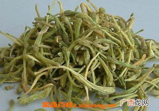 金跟花的功效与作用 金跟花的药用价值