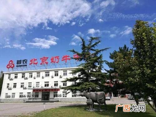 北京黑猪适合留母猪吗 北京黑母猪养殖中心