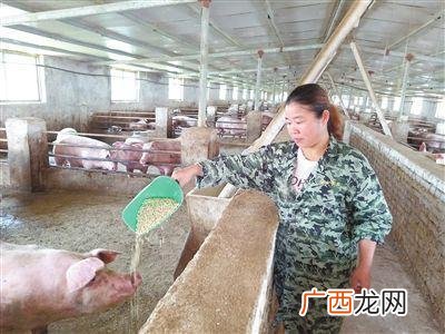 标准化规模养殖场建设标准 标准化养殖有哪些要求