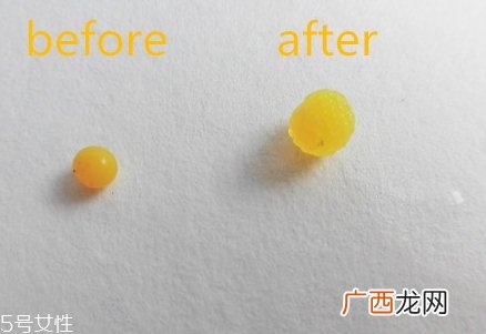 植物智慧护肤品价格表 一套价格很便宜