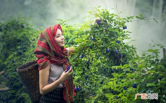 一个中年男人告诉你 男人出轨不回头原因只有一个