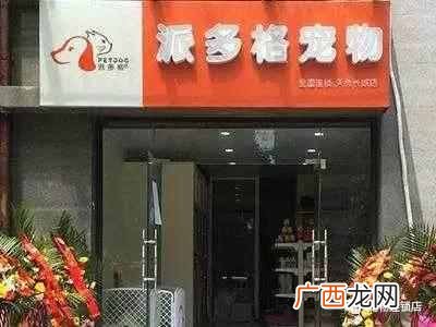 开宠物店应该准备什么（开宠物店需要具备什么