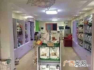 开宠物店应该准备什么（开宠物店需要具备什么