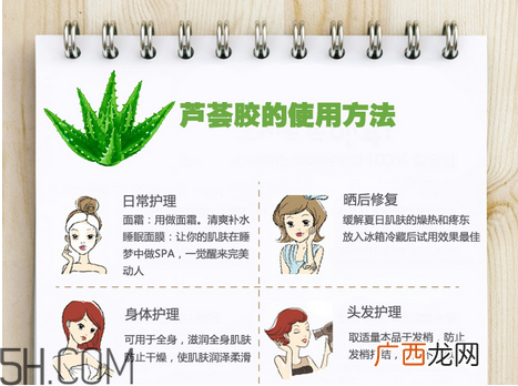 芦荟胶的功效和作用有哪些？教你芦荟胶的正确使用方法