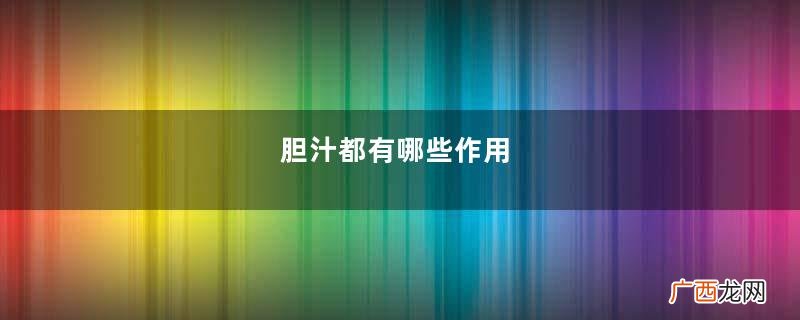 胆汁都有哪些作用