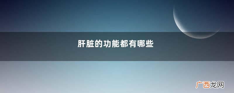 肝脏的功能都有哪些