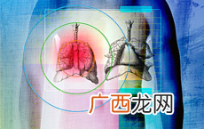 肝脏的功能都有哪些