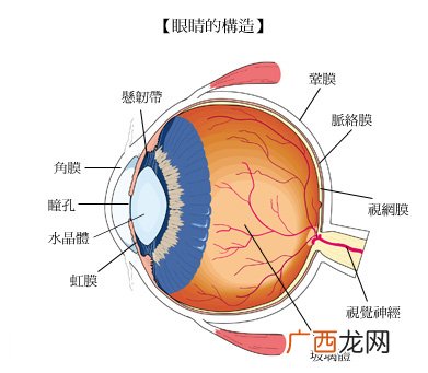 眼前有黑点飘动是怎么回事