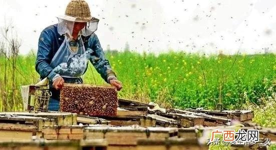 空房间养殖什么挣钱快,养殖成本低见效快