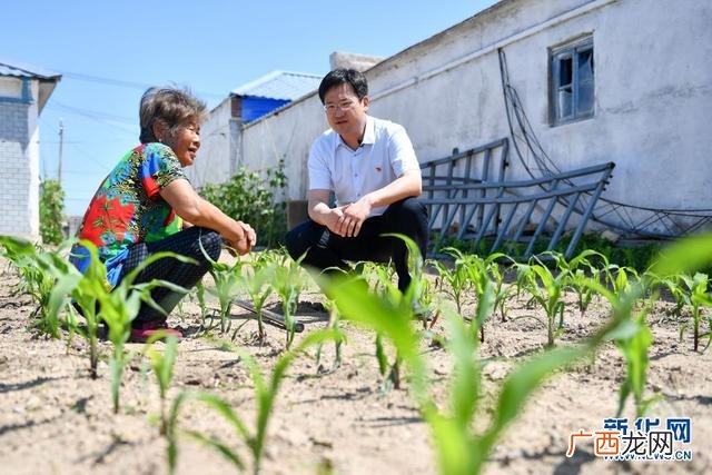 新时代年轻人奋斗例子,当代青年奋斗的事例50字