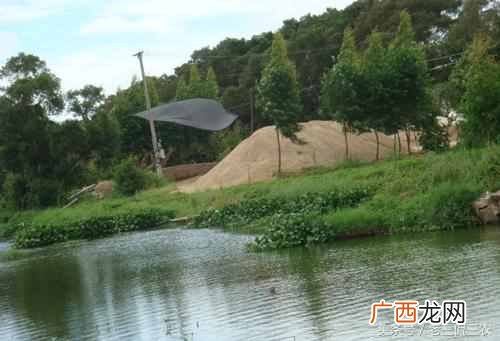 最适合的小本经营 荆门可以做点什么生意