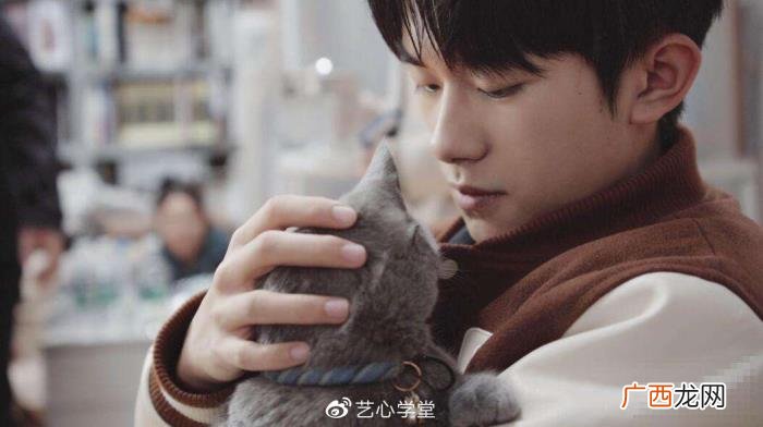 易烊千玺生肖星座，射手座的易烊千玺为什么可以百炼成钢