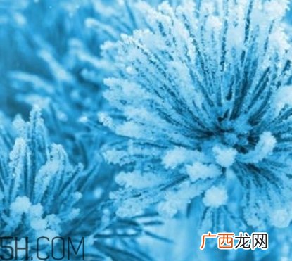自然堂雪松精油怎么样？雪松御龄绽放年轻光彩