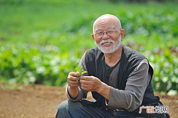 男人吃什么对肾脏好呢