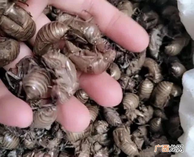 比较简单的创业项目 个人创业项目排行