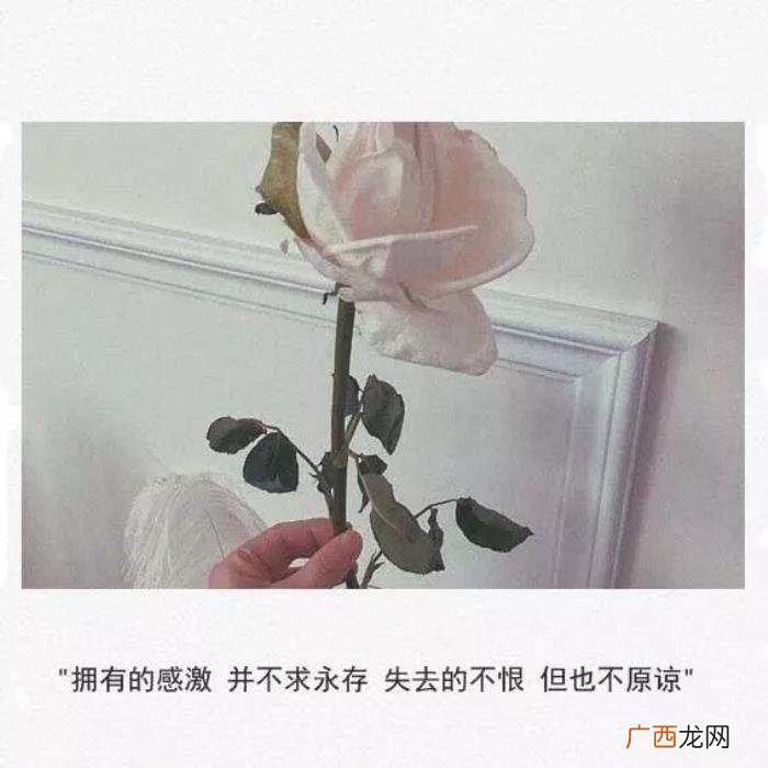 热恋期恋爱四个阶段，谈恋爱都会有这四个阶段