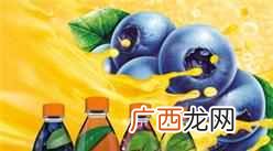 果汁都有什么品牌大全（果汁品牌排行榜前十名