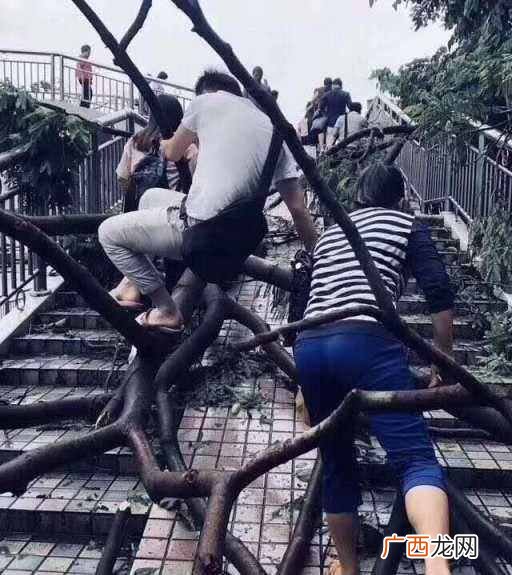 2019在家里做什么能赚快钱 干什么能赚点快钱