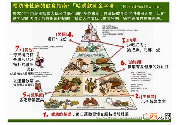 饮食金字塔结构图片正着吃还是倒着吃