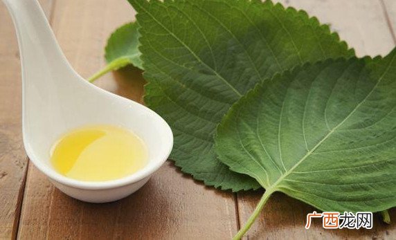 饮食金字塔结构图片正着吃还是倒着吃