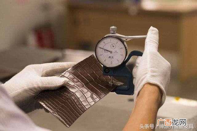 鳄鱼皮包都有什么牌子（最全最实用的鳄鱼皮具