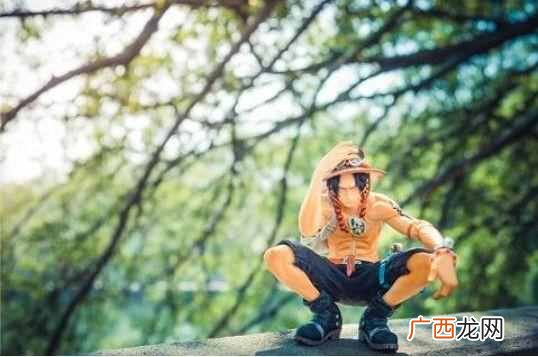 主要经营哪些东西 动漫店主要卖什么的