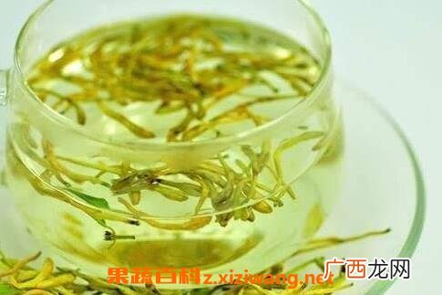金银花野菊花的功效与作用