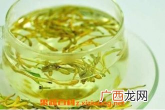 金银花野菊花的功效与作用