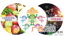 医食同源酵素能减肥吗_isdg酵素哪种最好