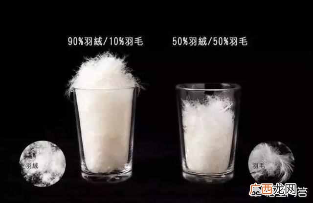 羽绒服应该怎么选 羽绒服是什么牌子的好看