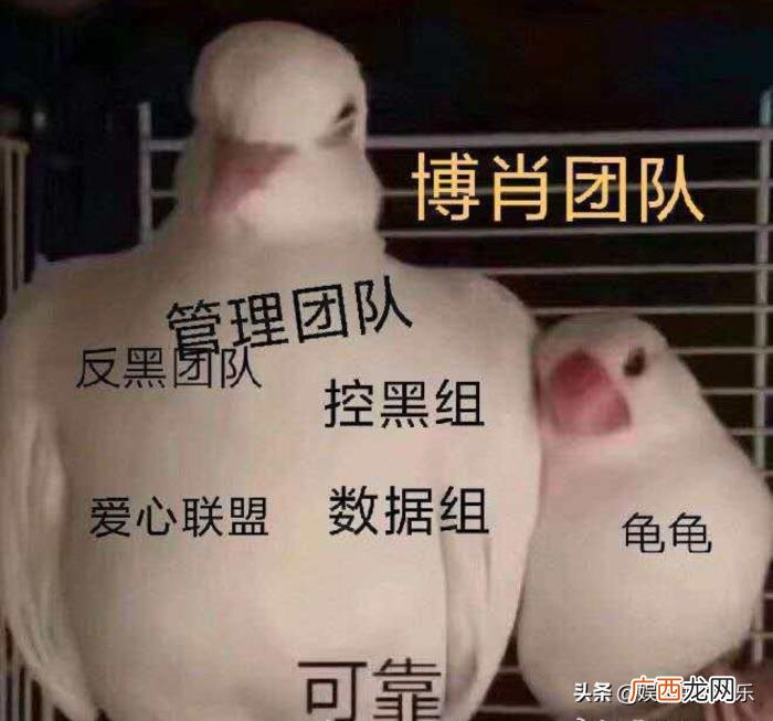博君一肖微博超话，博君一肖超话被大量灌粉