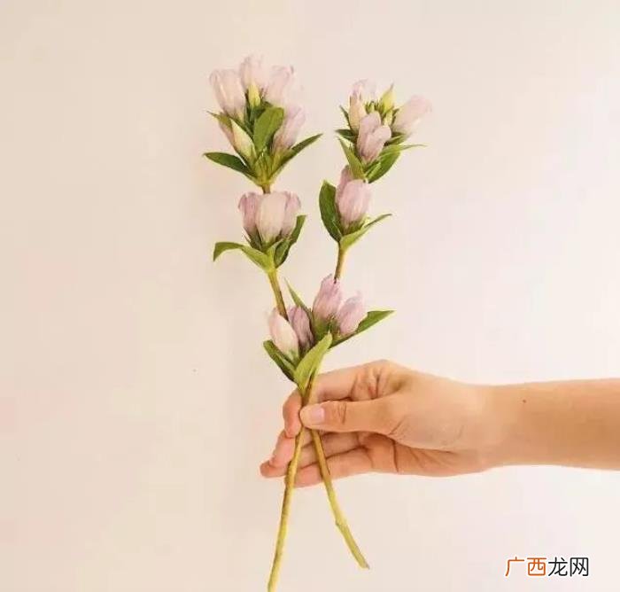 让情人感动到哭的话，对情人说的暖心话短句
