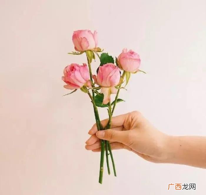 让情人感动到哭的话，对情人说的暖心话短句