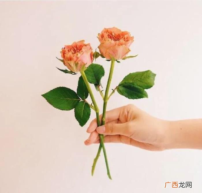 让情人感动到哭的话，对情人说的暖心话短句