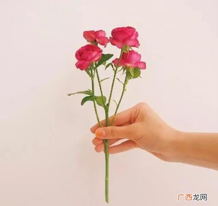 让情人感动到哭的话，对情人说的暖心话短句