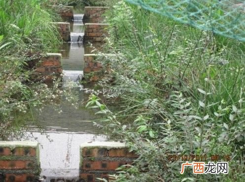 鸿茂野生动物养殖场 贵州野生动物养殖场
