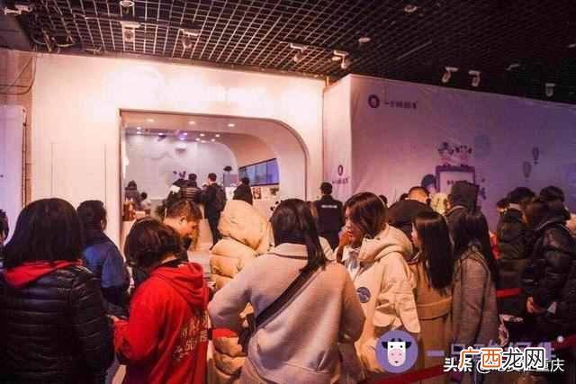 一支酸奶牛是什么意思（一只酸奶牛和1支酸牛奶